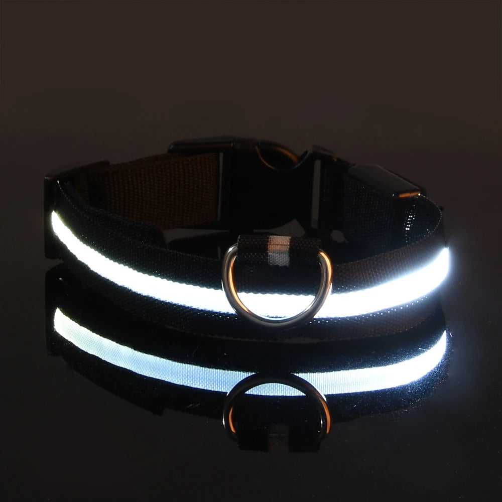 LED ogrlica za pse s noćnim sjajem — najlon, sigurnost noću, više boja i veličina