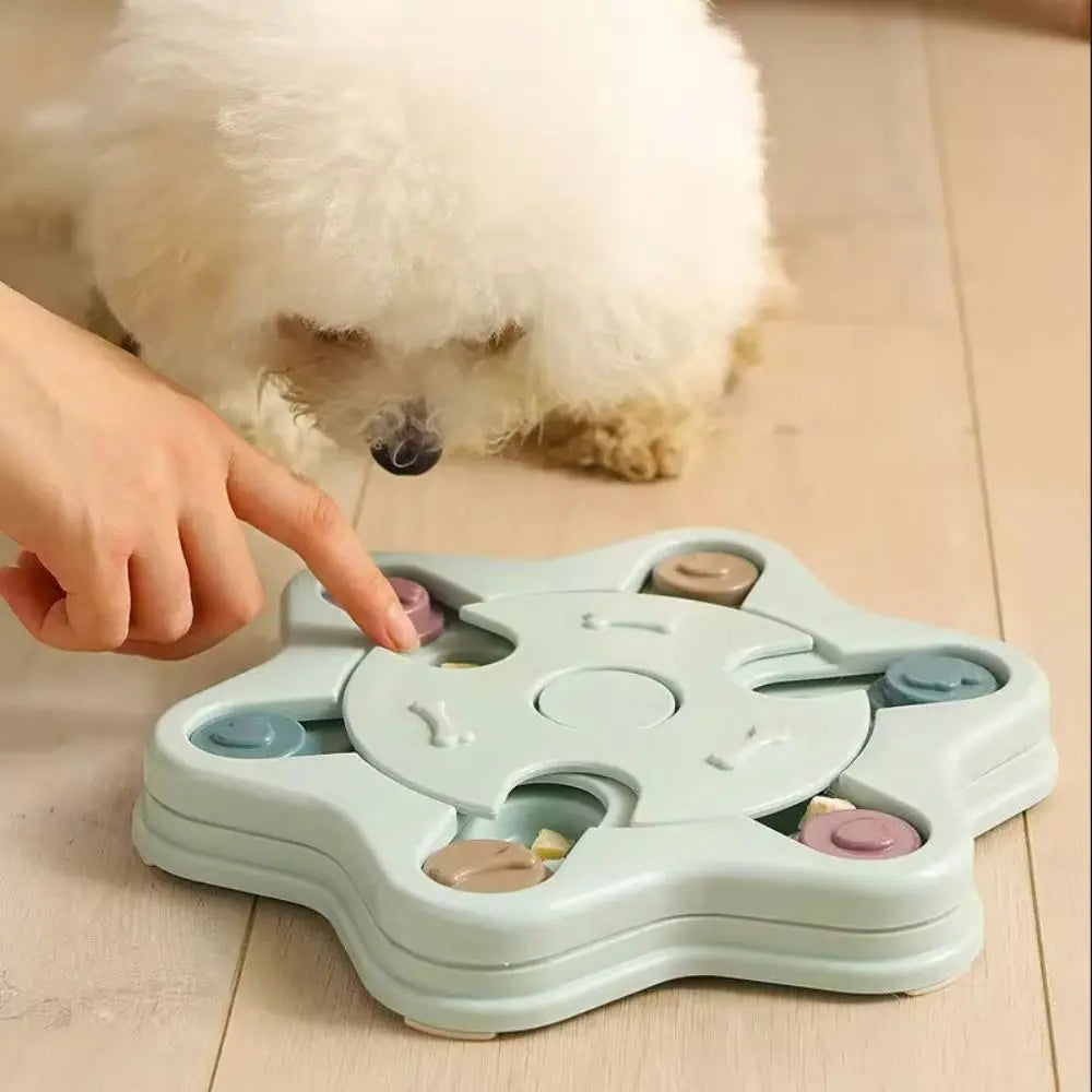 Puzzle zdjela za sporo hranjenje pasa i mačaka — anti-gušenje, povećava IQ | 6 stilova