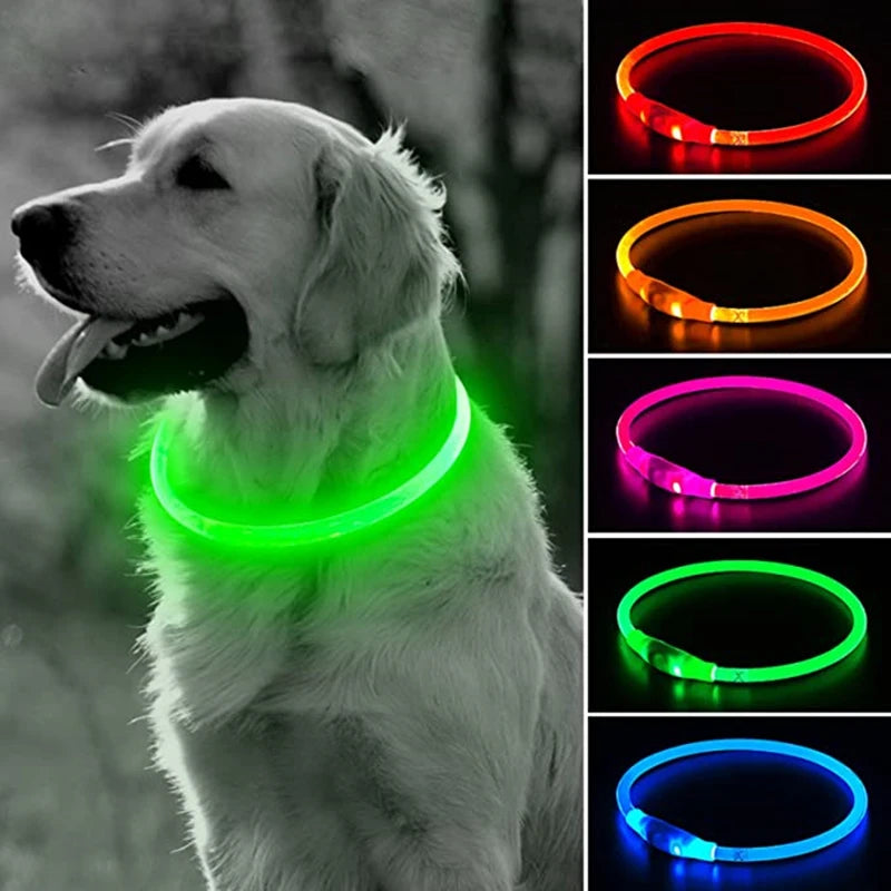 LED ogrlica za pse i mačke s USB punjenjem | 3 načina svjetla | Noćna sigurnost | 7 boja