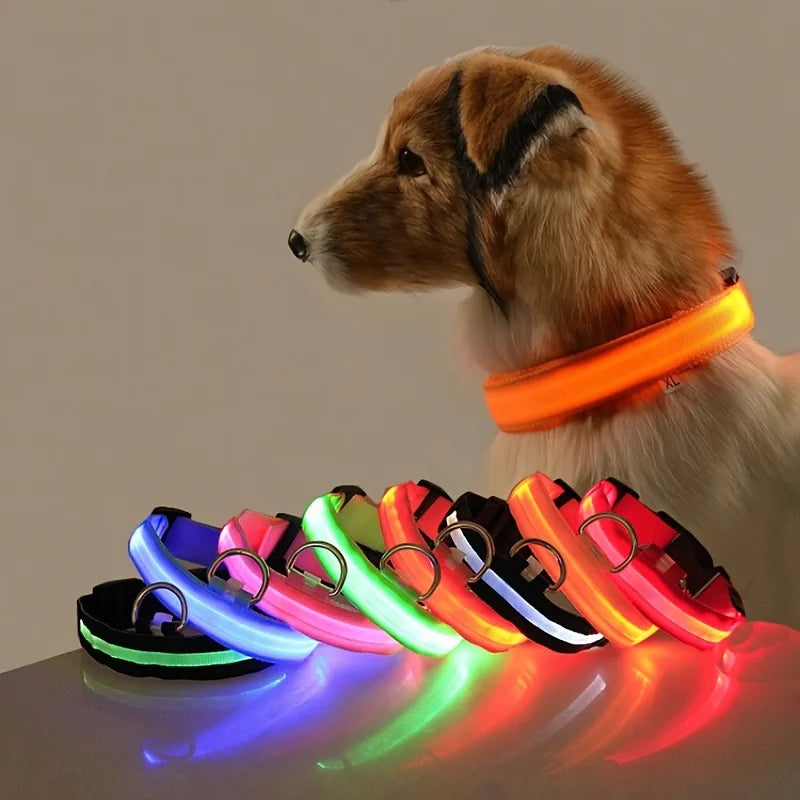 LED ogrlica za pse s noćnim sjajem — najlon, sigurnost noću, više boja i veličina